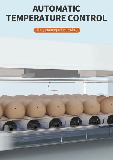 Oprema za kućne ljubimce: INKUBATOR Automatski nove generacije za 130 jaja 12v/220v — 9