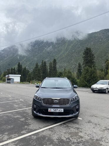 шторка на авто: Kia Sorento: 2019 г., 2.2 л, Автомат, Дизель, Кроссовер