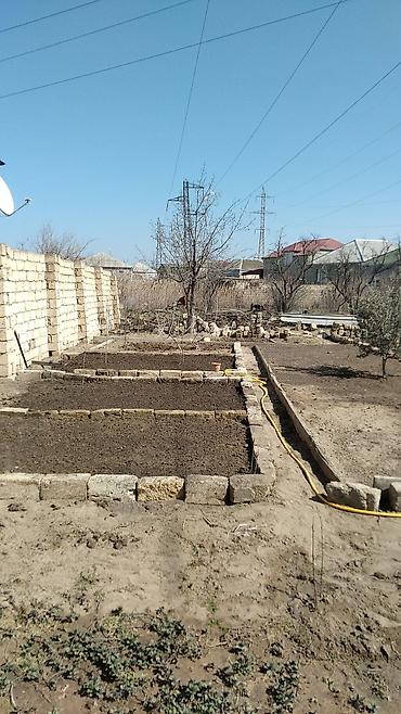 iran məhsulları: Bağ sahəsi – tərəvəz və meyvə əkini üçün baglarin belenmesi selqeye — 2