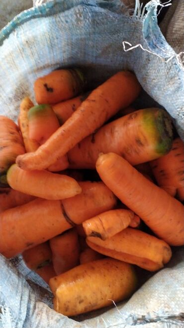 Корма для с/х животных: Морковка кормовая.2 ой сорт .сабиз савиз оптом . мытая и не мытая