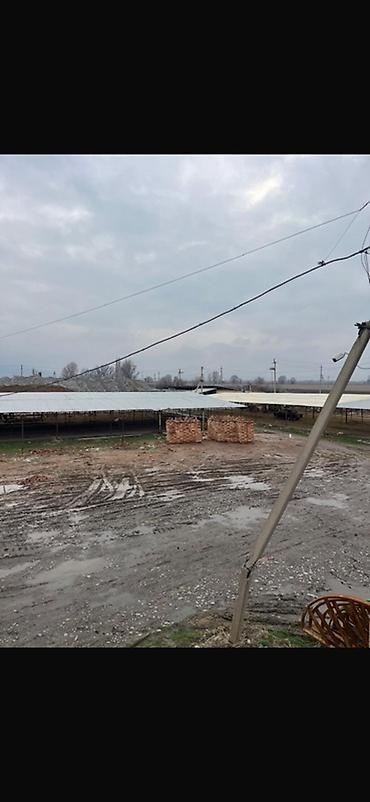 хлеб завод: Завод, С оборудованием, 20000 м² — 9