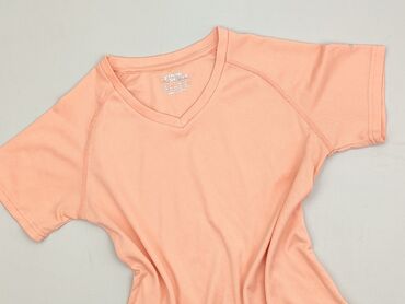 t shirty w paski zara: T-shirt damski, rozmiar S