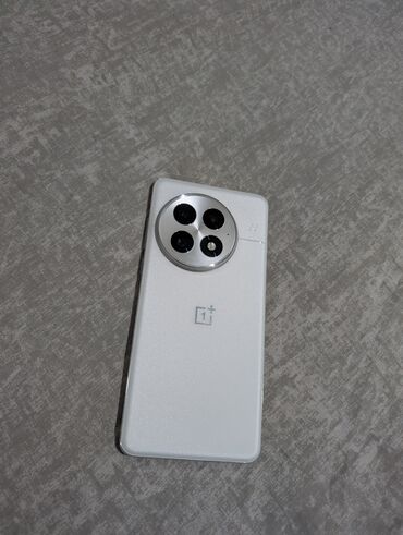 защищенные мобильные телефоны: OnePlus 13, 256 ГБ, цвет - Белый, 2 SIM