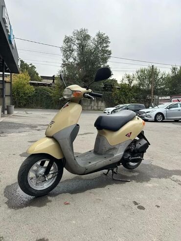 старый скутер: Сдаю в аренду
