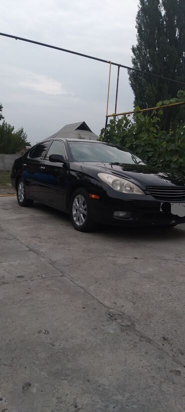 срочно срочно продам машину: Toyota Windom: 2002 г., 3 л, Автомат, Бензин, Седан
