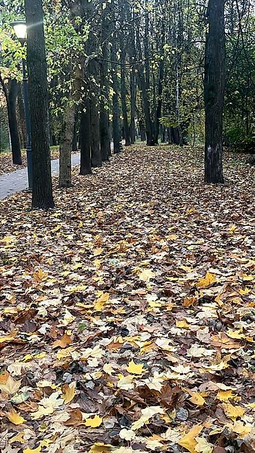 1 квартира купить: 4 комнаты, 6 м², 6 соток, Нарын, Собственник — 1