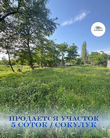 1 bedroom: 5 соток, Для строительства, Договор купли-продажи, Красная книга — 1