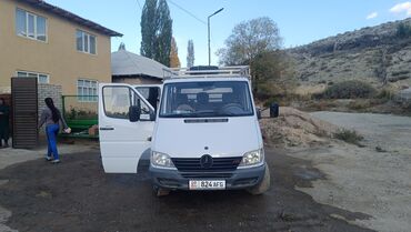 бампер на делику: Жеңил жүк ташуучу унаа, Mercedes-Benz, Стандарт
