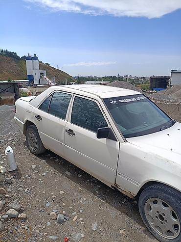 Транспорт: Mercedes-Benz 190: 1990 г., 2.9 л, Дизель, Седан — 3