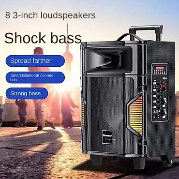 karaoke oxumaq: Portativ Bluetooth karaoke akustik sistemi – Newmine A8-6 - Güclü — 2