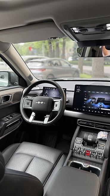 byd 2025: BYD FangChengBao Leopard 3: 2025 г., Автомат, Электромобиль, Кроссовер — 7