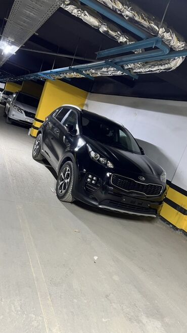 range rover дизель: Kia Sportage: 2019 г., 2 л, Автомат, Бензин, Кроссовер