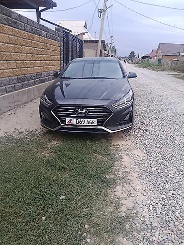 sonata 2012: Hyundai Sonata: 2019 г., 2 л, Автомат, Газ, Седан — 2