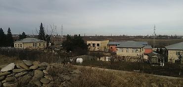 pirsagida evlər: 5 sot, Tikinti, Mülkiyyətçi, Kupça (Çıxarış) — 3