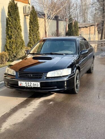 тайота камри 80: Toyota Camry: 1997 г., 3 л, Автомат, Бензин, Седан