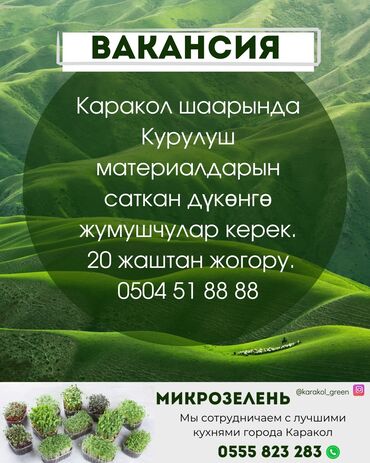 требуется повар шашлычник: Каракол шаарында Курулуш материалдарын саткан дүкөнгө жумушчулар