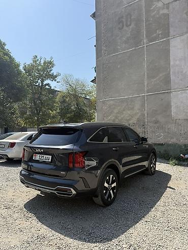 радиятор: Kia Sorento: 2023 г., 2.2 л, Автомат, Бензин, Кроссовер — 3