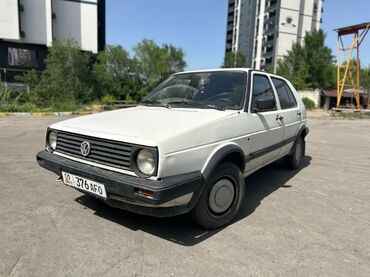 полироль авто: Volkswagen Golf: 1991 г., 1.6 л, Механика, Бензин, Хетчбек