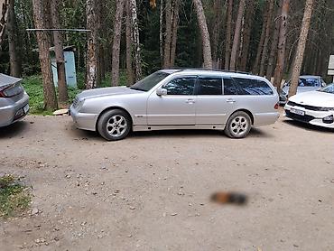 на s класс: Mercedes-Benz E-Class: 2000 г., 2.2 л, Механика, Дизель, Универсал — 2