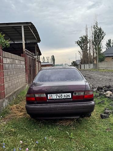 тоуота карина е: Toyota Carina E: 1992 г., 1.6 л, Механика, Бензин, Седан — 1