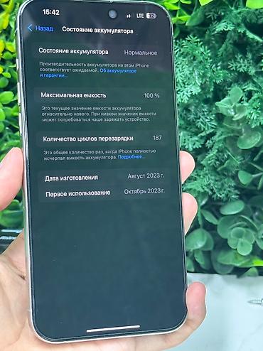 Apple iPhone: IPhone 15 Pro Max, Б/у, 256 ГБ, Natural Titanium, Кабель, Зарядное устройство, Защитное стекло, 100 % — 11
