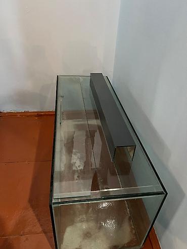 balığ: Dördbucaq akvarium, Balıqlarla birlikdə, 145 l — 3