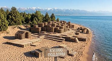 бытовая химия оптом со склада бишкек: Паддон сатып алабыз 
скупаем поддонов — 1
