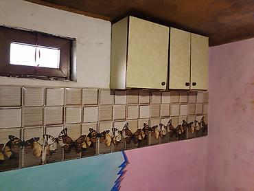 ev kiraye: 28 kv. m, 2 otaqlı, Qaz, İşıq, Su — 5
