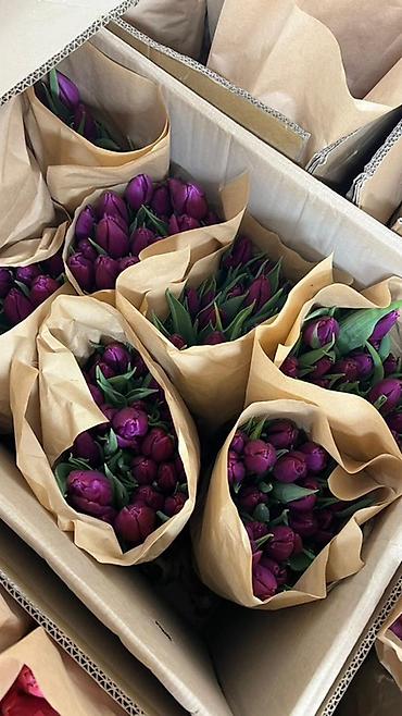 Букеты из живых цветов: Тюльпаны в букете-миксе - Срезанные тюльпаны в крафт-упаковке — 13