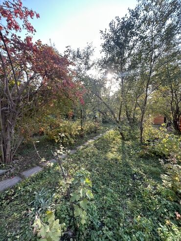 чалдовар продажа домов: 5 соток, Курулуш, Кызыл китеп