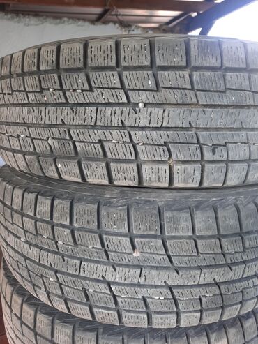 гольф 3 ручка: Шиналар 175 / 65 / R 14, Кыш, Колдонулган, Комплект, Жеңил унаалар, Жапония, Yokohama