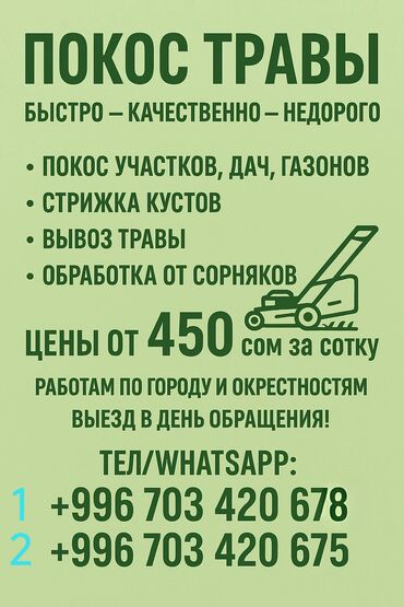 леса токмок: Предлагаем услуги по покосу травы на участках, дачах и газонах. вывоз