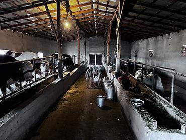 Продажа коттеджей и домов: Срочно продается дом +большой участок Адрес: Беловодский село Бала at lalafo.kg — 8 Продажа коттеджей и домов: Срочно продается дом +большой участок Адрес: Беловодский село Бала — 8