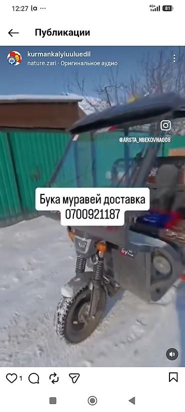 jcb трактор цена бишкек: Муравей Сатылат шашылыш турдо
байланышыныздар суйлошолу — 3