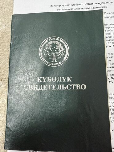 дом продаю сельского хозяйство: 1000 соток, Айыл чарба үчүн, Сатып алуу-сатуу келишими