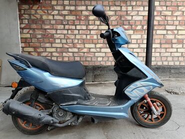Другая мототехника: Сдаю в аренду новый скутер (мотоцикл, 2020 года) с экиперовкой (новой)
