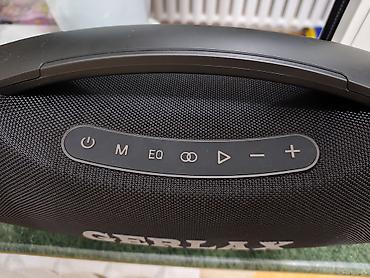 sony srs: Gerlax 350w, выпуск от завода JBL. Время работы до 10 часов. Качество — 10