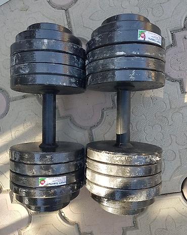 Гантели: Предлагаются металлические гантели, предназначенные для силовых — 14