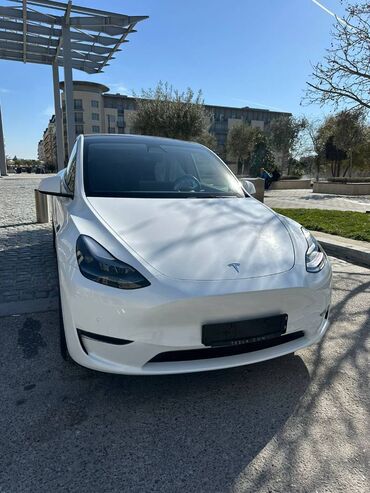 dual: Tesla : 0.5 l. | 2022 il | Hetçbek