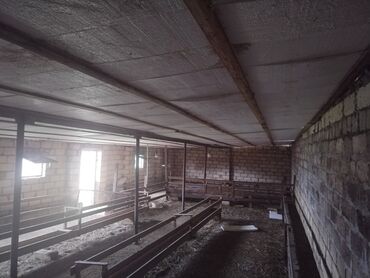 Bağ evlərinin satışı: Gəncə, 26 kv. m, 1 otaqlı, Hovuzsuz, Qaz, İşıq — 5