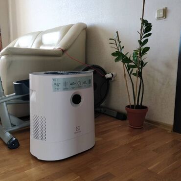 наушник ош: Воздухоочиститель Electrolux Напольный