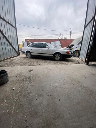 пороги на мазду: Audi 100: 1993 г., Седан