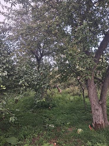 модыльный дом: 2 дома на участке. Есть возможность обмена на другую недвижимость — 2