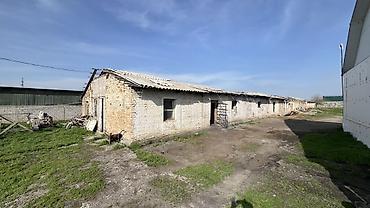 участок бищкек: 40 соток, Не действующий, Без оборудования, Электричество — 4