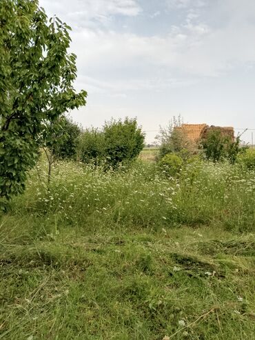 lökbatan torpaq: 8 sot, Kənd təsərrüfatı, Barter mümkündür, Bələdiyyə
