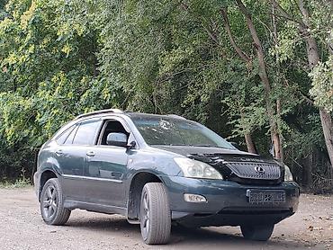 Lexus: Lexus RX: 2004 г., 3 л, Автомат, Бензин, Кроссовер — 12