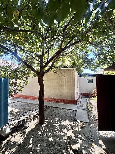 Продажа квартир: 🏡 Продаётся дом в удобной локации! 📍 ул. Серова, 28 📐 Участок — 3,3 — 12