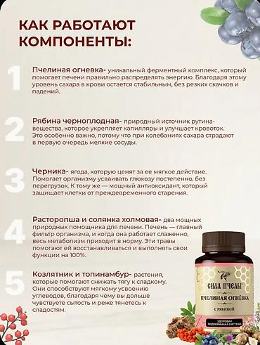 нового: Сила Пчелы — Пчелиная огнёвка с рябиной Формат: порошок в — 6