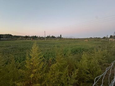 Продажа участков: 1700 соток, Для бизнеса, Красная книга — 11