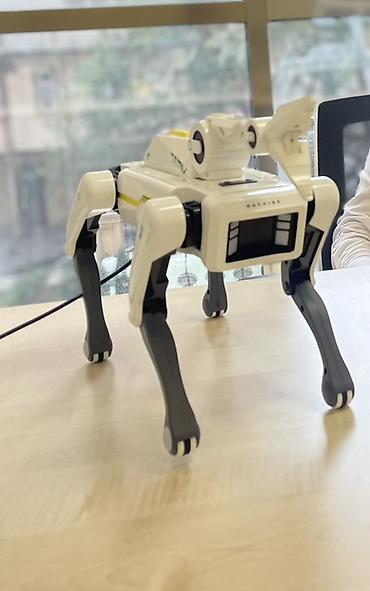 loona robot: Dördayaqlı ağıllı robot it – interaktiv oyuncağ və STEM öyrənmə — 1